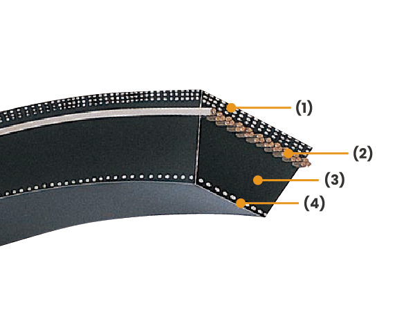 สายพานร่องวีเปลือยข้างแบบเรียบ (Raw Edge Plain V-belts)