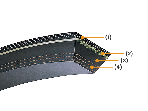 สายพานร่องวีเปลือยข้างผ้าหลายชั้น (Raw Edge Multi-ply V-belts)