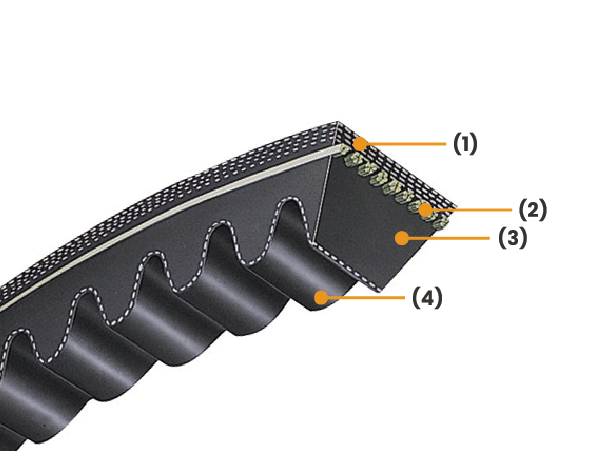 สายพานร่องวีเปลือยข้างแบบฟัน (Raw Edge Cogged V-belts)