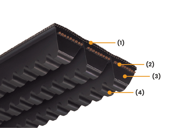 สายพานฟันร่องแพ(Banded Raw Edge V-belts)