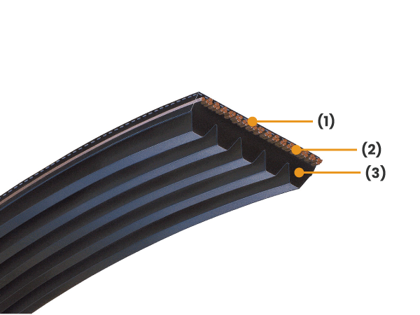 สายพานขับอุปกรณ์เสริม (V-ribbed Belts for accessary drive)