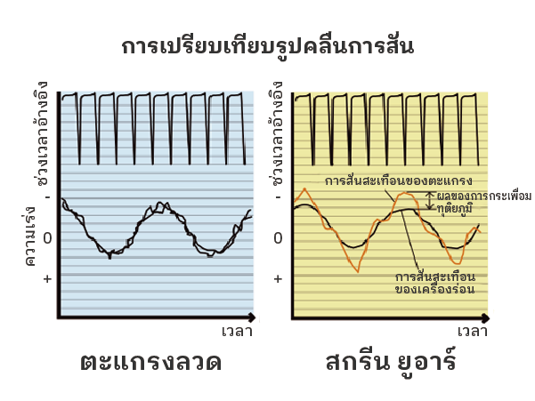 ความแตกต่างในรูปคลื่นการสั่นสะเทือน