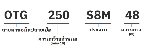 สายพานไทม์มิ่ง SUPER TORQUE G แบบปลายเปิด