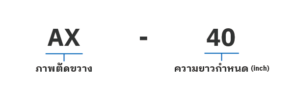 TRIPLEX (ไตรเพล็กซ์)
